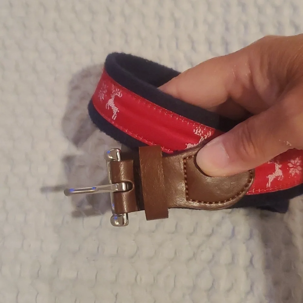 Leather and Web Kid's Belt